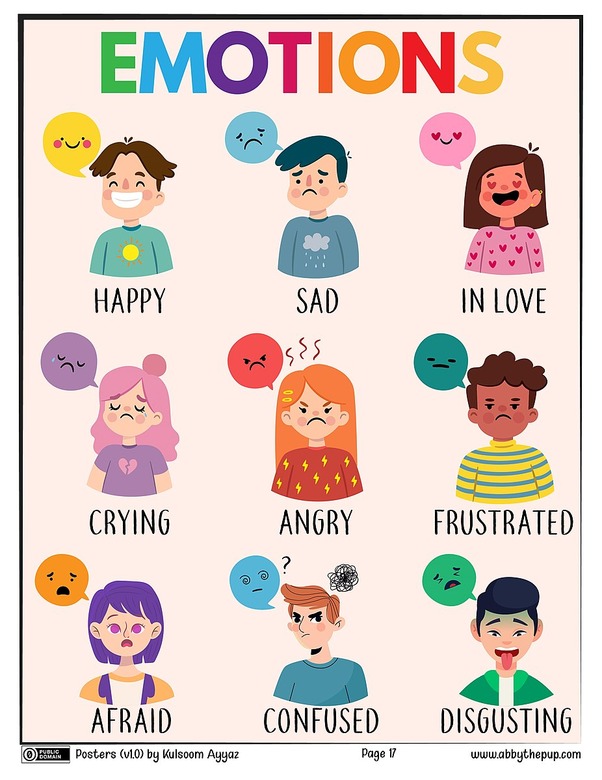 Free Inquiry #2- Social and Emotional Environment